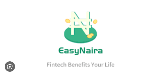 Easynaira loan overview